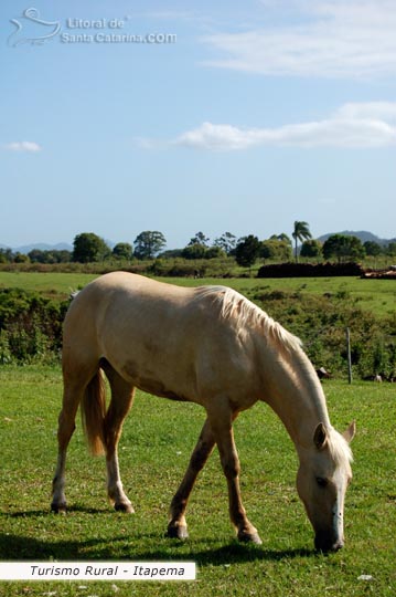 Turismo Rural