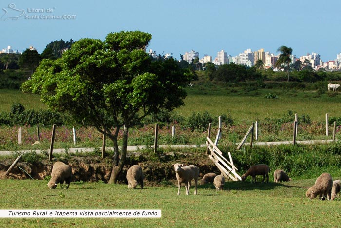 Turismo rural e vista parcial de itapema.