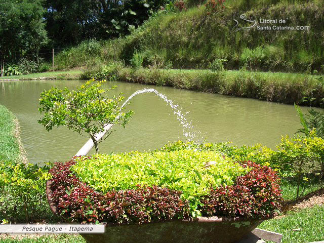 Lago do pesque e pague de itapema.