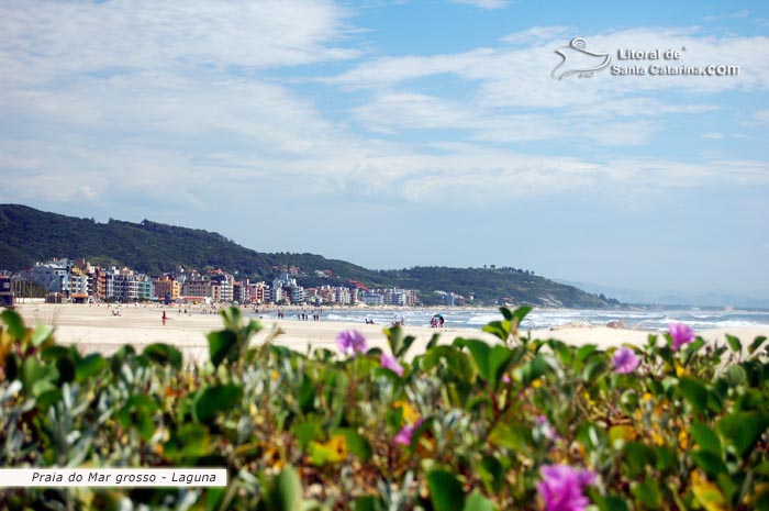 vista praia do mar grosso de laguna