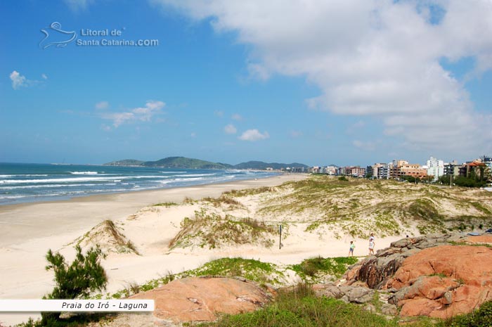 Orla da praia do mar grosso com pequenas dunas