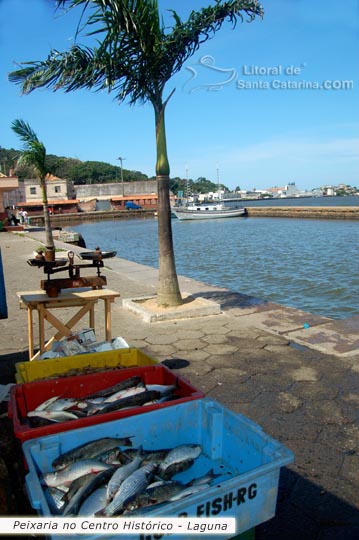 peixaria no centro historico de laguna