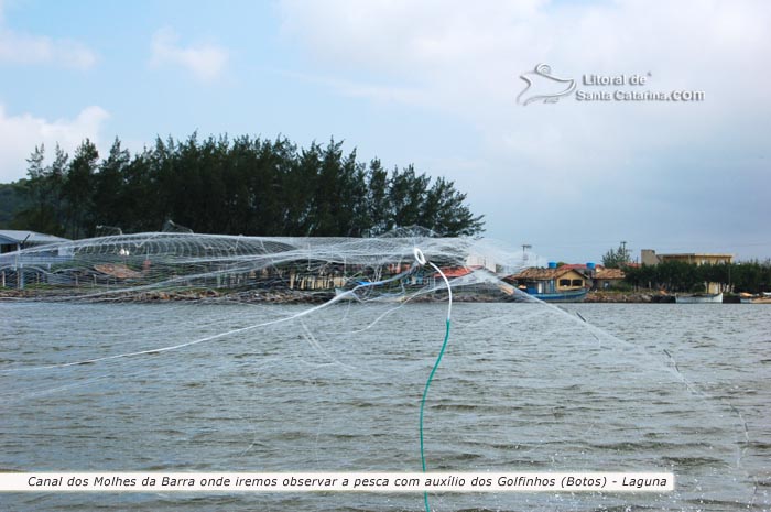 pescador arremessando a rede para pegar umas tainhas que os golfinhos acabaram de trazer