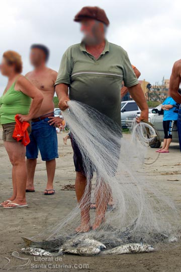 pescador com sua tarrafa cheia de peixes que os golfinhos acabaram de trazer