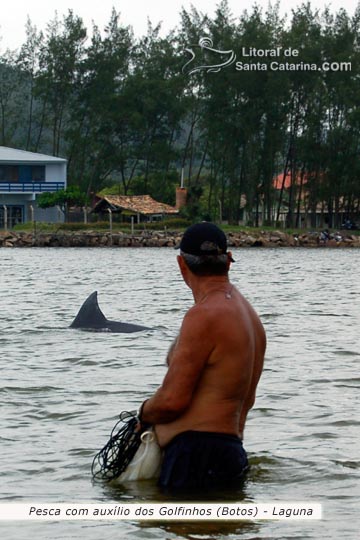 golfinho e pescador em laguna