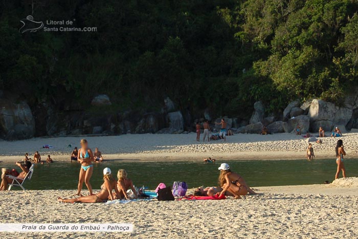 esta foto da guarda do embau sc, trás lindas gatas tomando sol