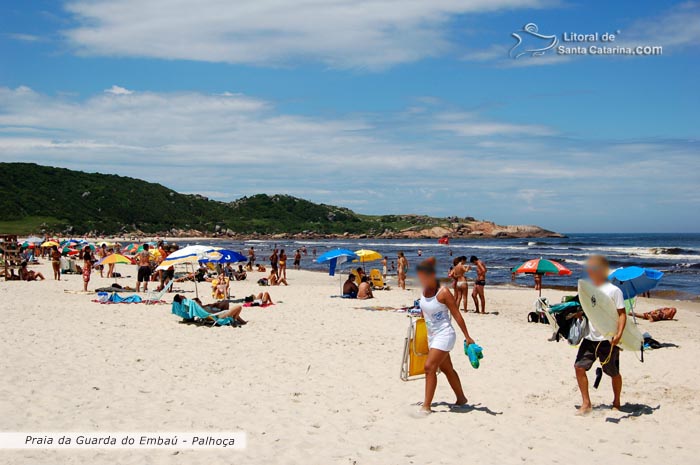 praia da guarda do embaú cheia, gato e gata voltando do surf