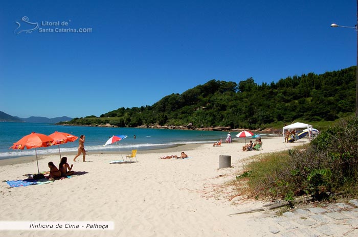 praia da pinheira, gatas tomando sol