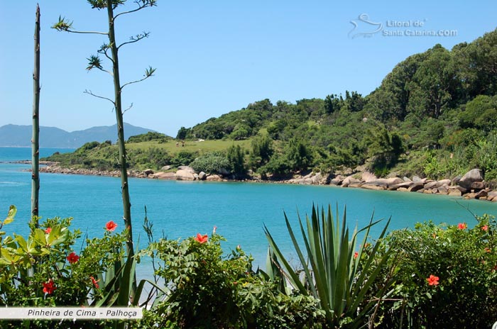 praia da pinheira, vegetação ainda preservada, morro lindo e praia paradisíaca