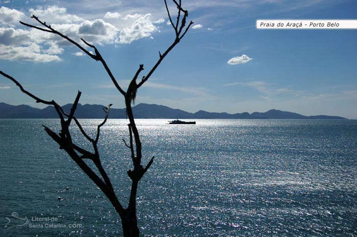 Final de tarde na praia do araçá em porto belo.