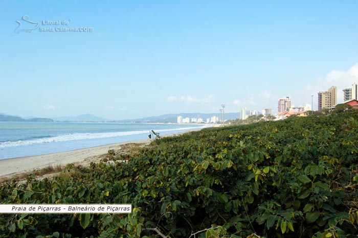 praia de picarras, restinga, mar limpo, ótimo para família