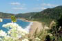 Vista da Praia de Taquarinhas em Balneário Camboriú e uma borboleta completando um cenário especial.