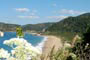 Vista da praia de taquarinhas e para completar o cenário, uma bela borboleta querendo se aparecer para o fotógrafo.