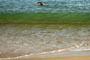 Senhor nadando sozinho nas águas cristalinas da praia de laranjeiras em Balneário Camboriú - Santa Catarina.