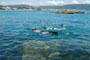 Pessoas mergulhando e a foto ainda mostra uma tartaruga na Praia da Lagoinha em Bombinhas.