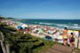 Gatas da praia mole, indo tomar um sol 