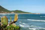 Vista da praia da galheta sc, nudismo em santa catarina