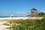 praia do maçambique, tranquilidade, restinga preservada, mar azul e uma gata tomando um nesta linda praia floripa