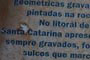 Placa Santinho