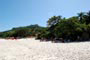 Pessoas em baixo das árvores da ilha do campeche para se protejer do sol forte de santa catarina
