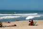 Gatas de garopaba, tomando sol na praia da silveira