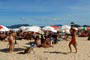 gatas tomando um sol na praia brava sc