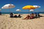 gatas tomando sol de biquini na praia dos amores de itajaí sc brasil