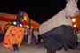 manifestação folclórica do boi de mamão na festa marejada de itajaí
