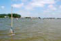 todo mundo esperando os golfinhos voltar com os peixes em laguna santa catarina