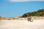 gatas catarinenses tomando um sol na praia da guarda do embau sc