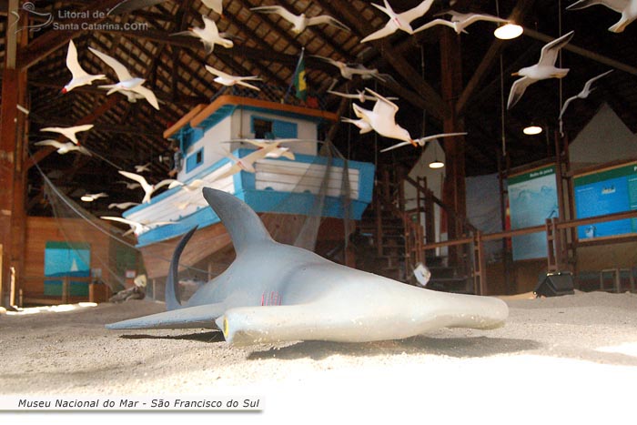 museu nacional do mar, em são francisco, tubarão, barco