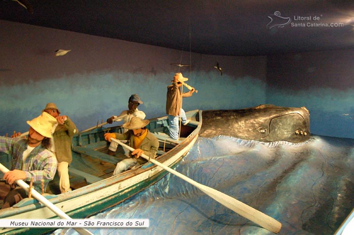 museu nacional do mar, matança das baleias francas