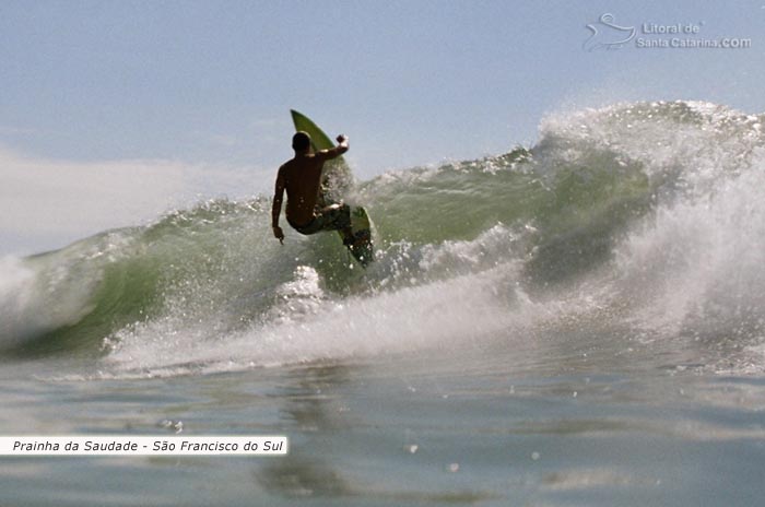 surf são francisco do sul