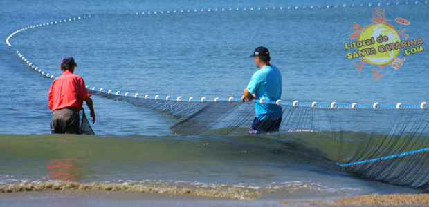 Pesca da tainha em Balneário Camboriú,  SC - Foto: Flavio Fernandes - LitoraldeSantaCatarina.com