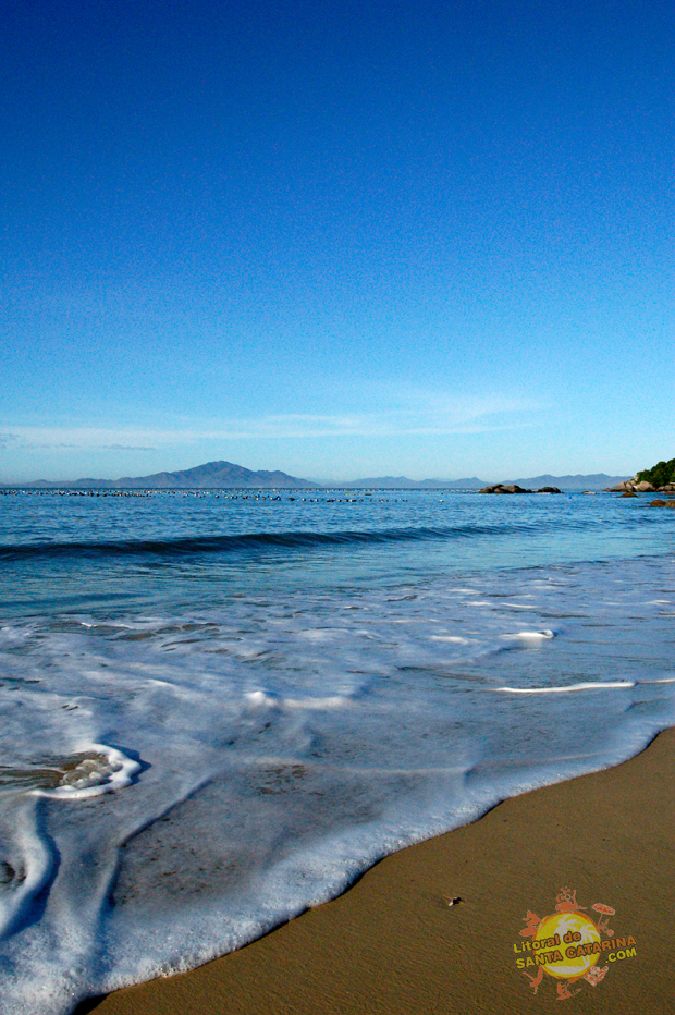 Praia de Zimbros em Bombinhas Santa Catarina - 10° Lugar no Ranking das praias de Bombinhas