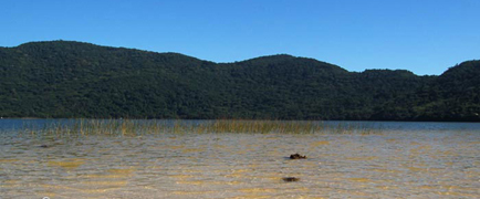 Lagoa do Peri, Florianópolis, Santa Catarina, Brasil.